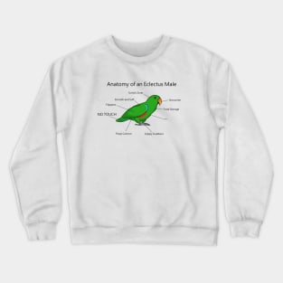 Anatomy of An Eclectus Male Crewneck Sweatshirt